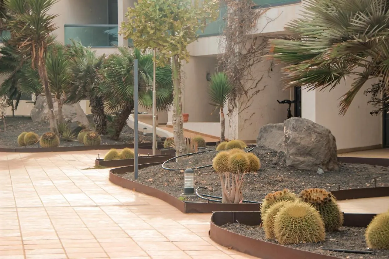 Casa Aloe Vera Cotillo